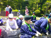 DSCF0006