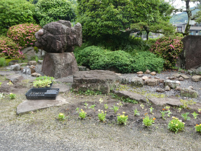 P1009998