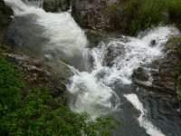 P1010399