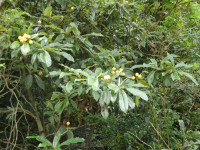 P1010407