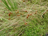 P1010417