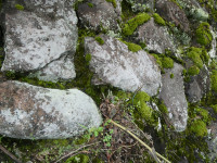 P1010425