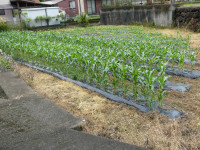 P1010447