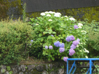 P1010453