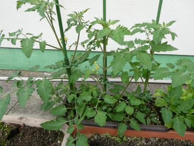 P1010504