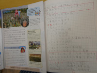 P1010549