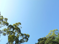 DSCN7526