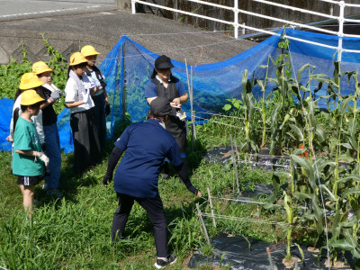 P1011768