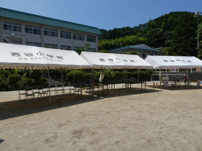P1012257