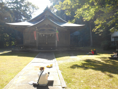 DSCN0320