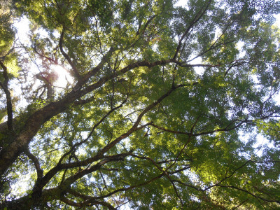DSCN0343