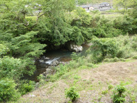 P1003288