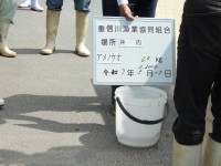 DSCN7395