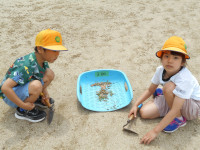 DSCN7405