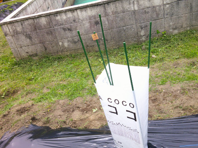 DSCF0070