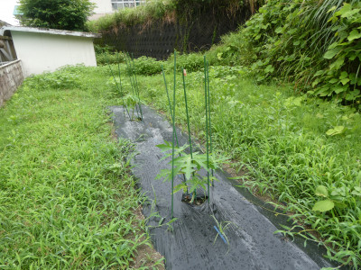 P1010985
