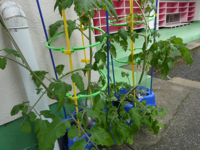 P1010981