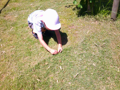 DSCF0118