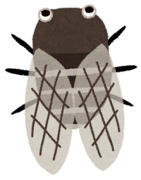 mushi_kumazemi