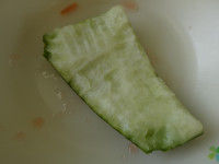 P1011462