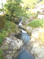 DSCN7520