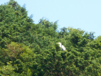 DSCN7523
