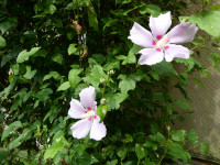 P1011497