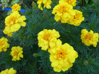 P1012447