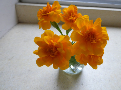 P1012564