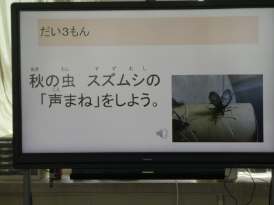P1013064