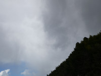 P1031145