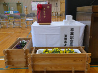 P1031426