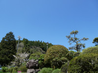 P1031736
