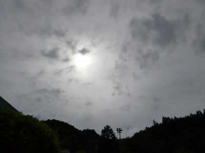 P1033135