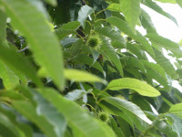 P1035704