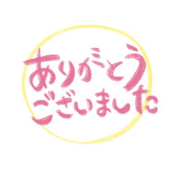 23231817