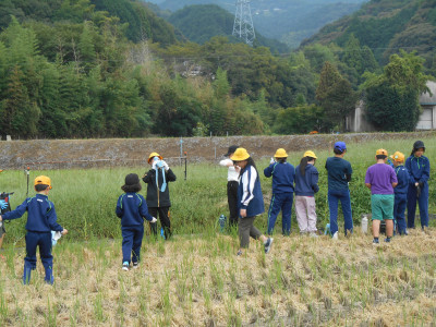 DSCN0382