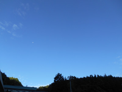 DSCN0403